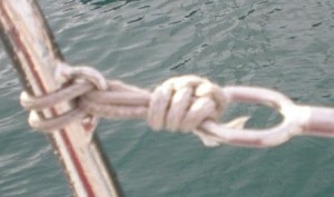 dscn2292 dscn2292