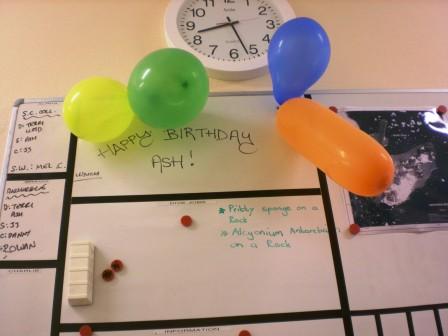 bdayballoon