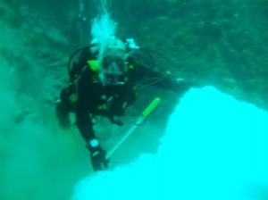 submergedberf